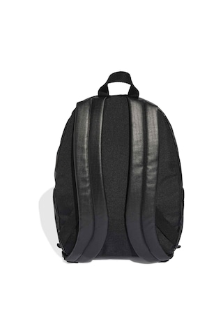 Adidas Black/whıte Adıdas Gl Bp Siyah