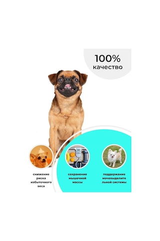 Royal Canin Sterilised Adult Yaş Köpek Maması 12x85 Gr 289261562