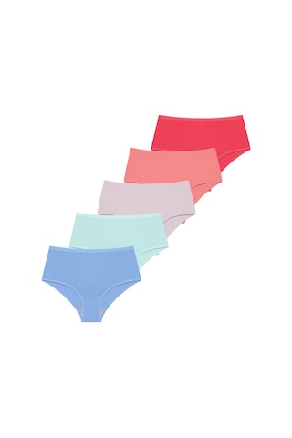 Likralı 5'li Kutu Premium Günlük Kullanıma Uygun Yüksek Bel Külot Berry G-007 D Resimdeki Renk