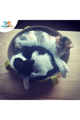 Yuvarlak Karton Kedi Tırmalama Oyuncağı