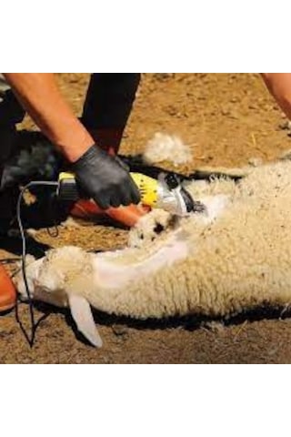 Rtrmax Rtm923 Koyun Kırkma Makinesi 500 Watt