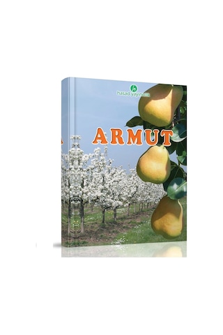 Armut Kitabı