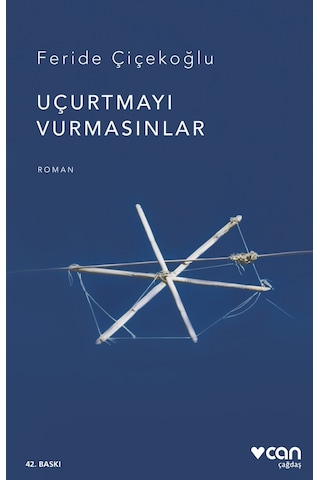 Uçurtmayı Vurmasınlar - Feride Çiçekoğlu - Can Yayınları