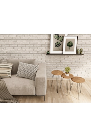 Zigon Sehpa 3'lü Yuvarlak Siyah Tel Ayaklı Ceviz