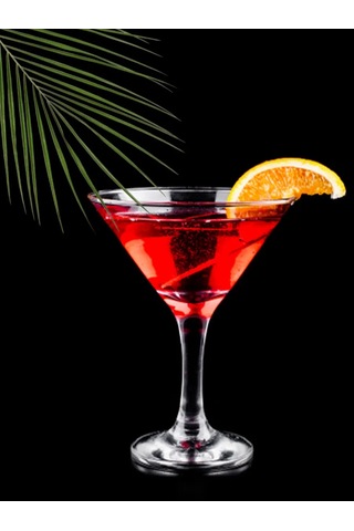 Pasabahce Amerikan Martini Kadehleri 190 Ml 2'li Set. 304883308 Beyaz