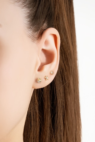 Deniz İkonları 18 Ayar Sarı Altın Kaplama Gümüş Çoklu Küpe Sarı