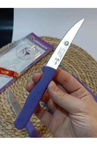 Sürdövbisa 61010 6'lı Meyve Seti Sivri Uç Mor
