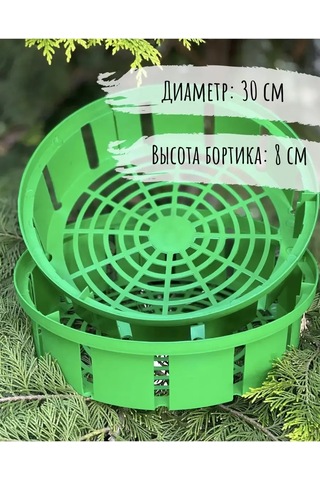 Botanikum Soğanlı Bitkiler İçin Sepet, Kelebek Yetiştirme 324986762