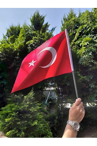 Vatan Sopalı Bayrak Bez 20x30 Bayrak 10'lu Diğer