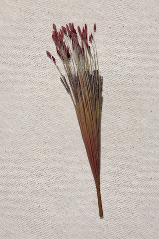 Pasabahce Grass 75 Cm Kırmızı - 1 Adet