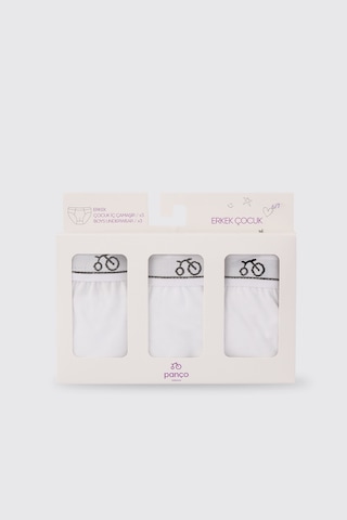 Panço Erkek Çocuk Beyaz 3'lü Slip Seti 2502BK14017