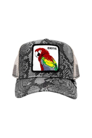 Goorin Bros Margaritaville Papağan Figürlü Deri Görünümlü Şapka Gri