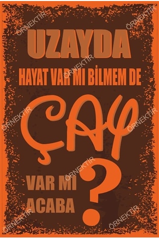 Uzayda hayat var mı bilmem de çay var mı acaba duvar yazıları ret