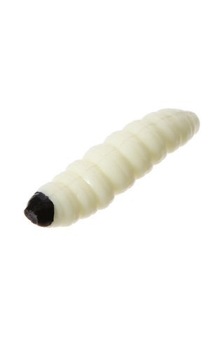 Springsun 20 Adet 3cm 1g Yumuşak Yapay Balık Yemi Kurt Şekilli Alabalık & Levrek Avı