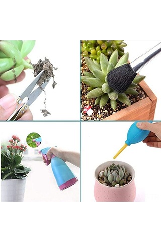 Pazly 14 Parça Sukulent Ekim Seti, Bahçe Peyzaj Ve Çiçek Dikim Araçları, Mavi