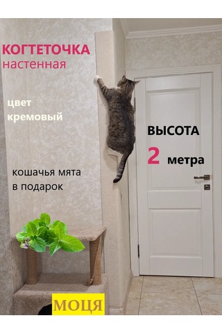 Moca Köşe Tipi Duvara Monte Edilen Kedi Tırnak Törpüsü 200x23 Cm 241601328