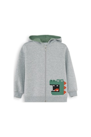 Denokids Dinozor Erkek Çocuk Fermuarlı Kapüşonlu Sweatshirt - Gri