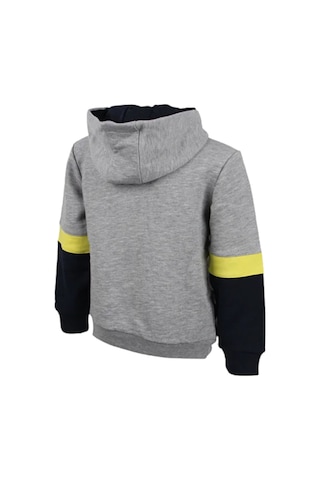 Fenerium Fenerbahçe Çocuk Trıbun Renk Bloklu Sweat Gri