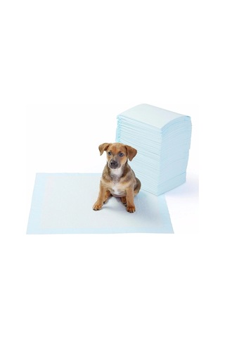 Hubrendy Çer Yıkanabilir Köpek Çiş Pedi - 100 X 100 Cm