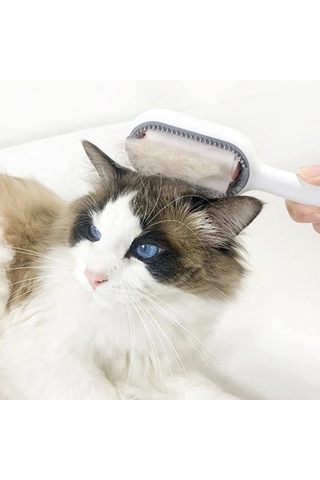 Dodes Kedi Köpek Tüy Toplama Tarağı