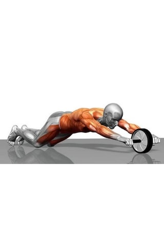 Delta Ab Wheel Karın Egzersiz Ve Fitness Tekerleği Siyah-beyaz