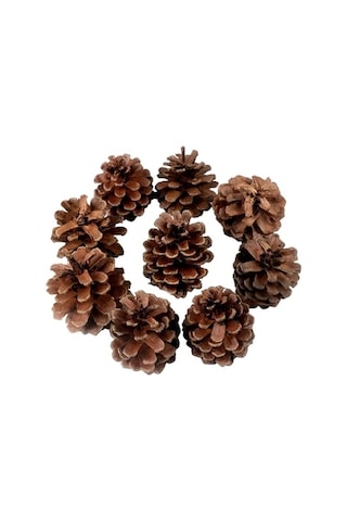 Dekoratif Çam Kozalak Süs 250gr