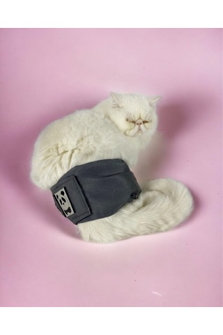 Kemique Kedi Çiş Bel Bandı Yıkanabilir Sızdırmaz Kedi Kıyafeti