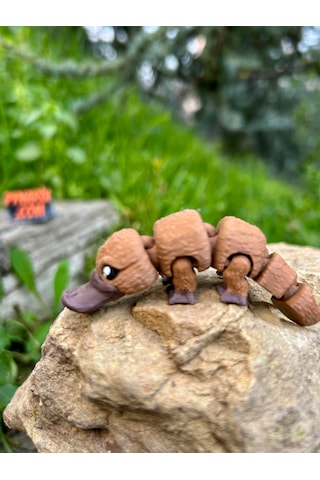 Ornitorenk Oyuncak 3d Hareketli Organik Vip Model- Orta Boy