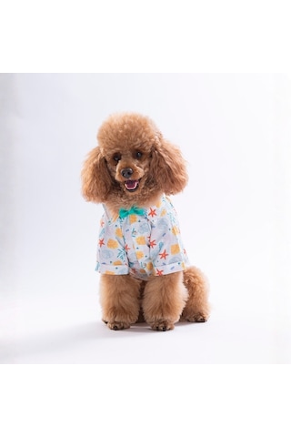 Aqua Reverie Kedi Köpek Gömleği - Kedi Köpek Kıyafeti-kedi Gömlek-köpek Gömlek