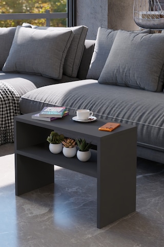Alpa Ev Mobilya Alt Raflı Orta Sehpa, Modern Salon Sehpası, Dekoratif Çay & Kahve Yan Sehpası Antrasit