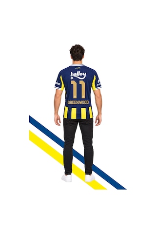 Fenerium Fenerbahçe Lisanslı Greenwood Forması Uv Kutu Sarı-lacıvert Uv