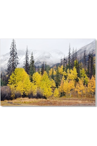 Cakasepetim Sonbahar Rengi Ağaçlar Ve Arkada Karlı Dağlar Ahşap Mdf Tablo