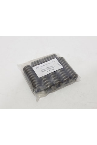 Gea 0006-3859-060 Seperatör Boyun Yatak Yayı 6 Adet