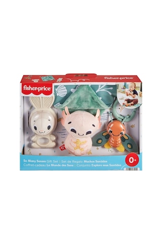 Fisher-Price Duyuları Harekete Geçiren Oyun Seti HRB17 Çok Renkli