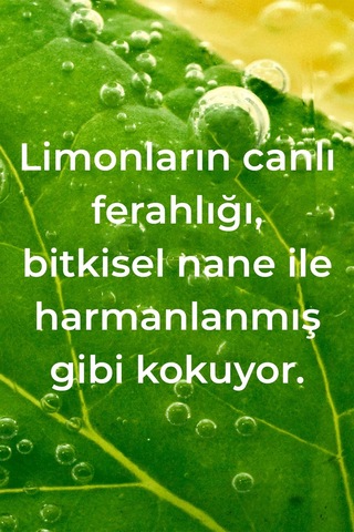 Method Lemon Mint El Yıkama Köpüğü 300 ML