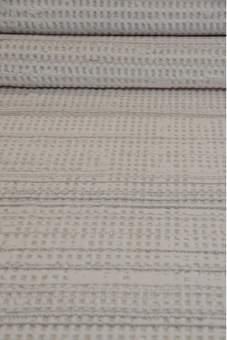 Kashe Halı Klas 5076 Gri Salon Halısı Oturma Odası Halısı Koridor Halısı Mutfak Halısı Modern Makine Halısı Gri 2