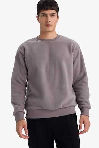 Defacto Relax Fit Bisiklet Yaka Polar Sweatshirt F3685ax25wngr308 Gri-gr308