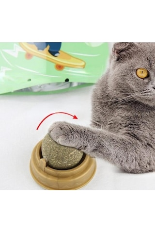 River World Kediler İçin Oyun Topu Kedi Nanesi Oyuncak