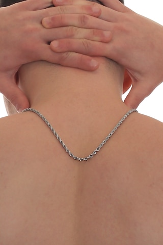 Labalaba Erkek Burgu Zincir Çelik Kolye Gümüş