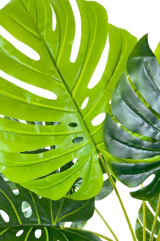 Biçiçek Yapay Monstera Ve Di̇fenbahya Ağacı Bohem Saksıda