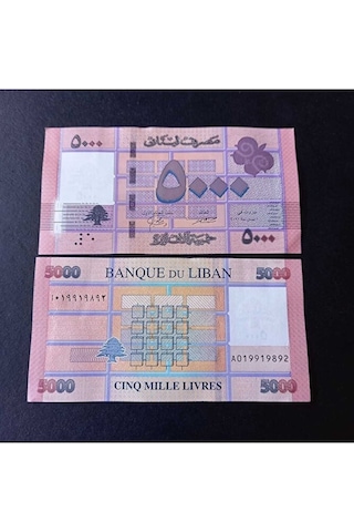 Lübnan 5000 Livres Çil Eski Yabancı Kağıt Para