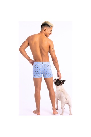 Carnaval Socks French Bulldog Köpek Desenli Erkek Boxer Pamuklu Likralı Parlak Lastikli Kutulu Açık Mavi Çoklu