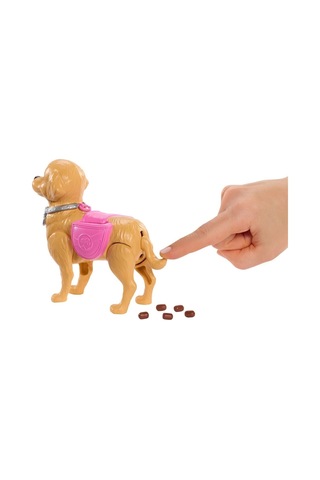 Znv Zenvia Mey İthalat Jjb46 Ve Köpekçiğin Yürüyüş Zamanı Znv2025 Cmn