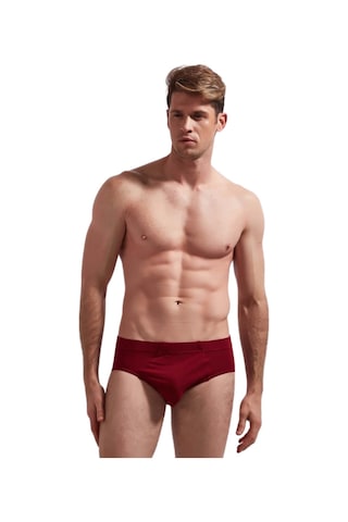 Josejuan Erkek Külot Koton Likralı 1101-bordo Bordo