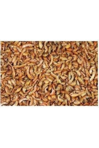 Gammarus Kurutulmuş Karides Balık Kaplumbağa Yemi 250 G