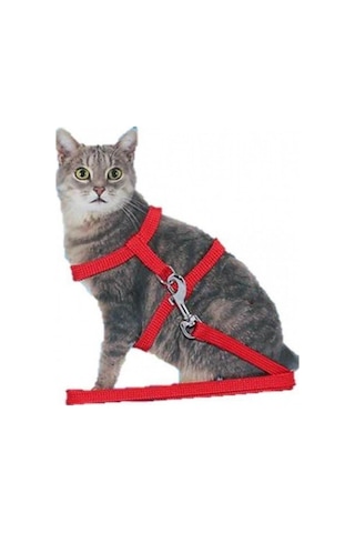 Ayarlanabilir Kedi Köpek Gezdirme Göğüs Bel Tasması