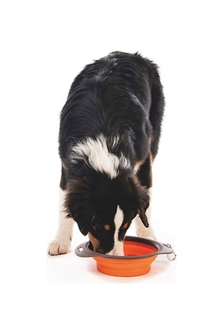 M-pets Kedi Ve Köpekler İçin Katlanır Silikon Mama Ve Su Kabı Turuncu 1230 Ml 244-51018.02