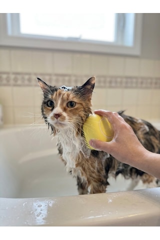 Şampuan Hazneli Kedi Köpek Yıkama Fırçası - Canlı Sarı Yumuşak Silikon Masaj Aparatı