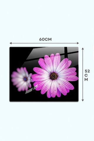 Gökçeoğlu Cam Ocak Arkası Koruyucu Cam Koruyucu Tezgah Ankastre Arkası Mor Papatya 52cm X 60cm Çok Renkli