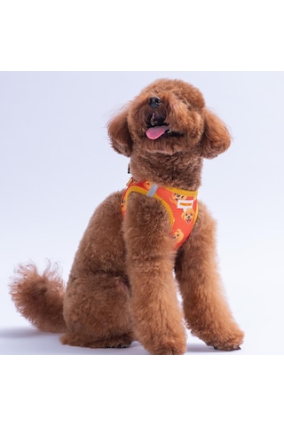 Poodle Air-mesh Göğüs Tasması Kedi Köpek Göğüs Tasması Turuncu